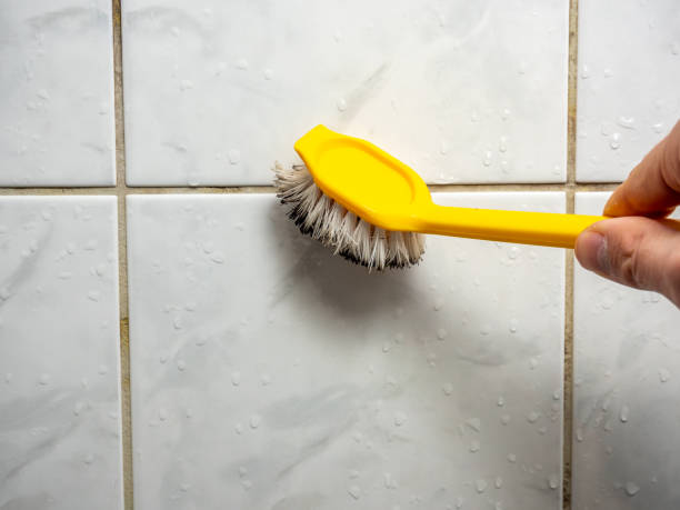 Carrizo Springs, TX Mold Removal Company