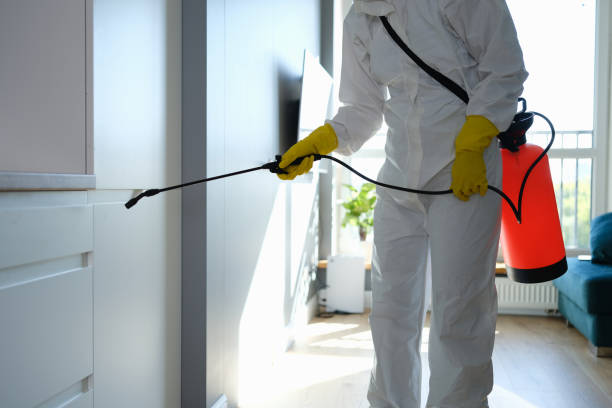 Certified Mold Removal in Carrizo Springs, TX