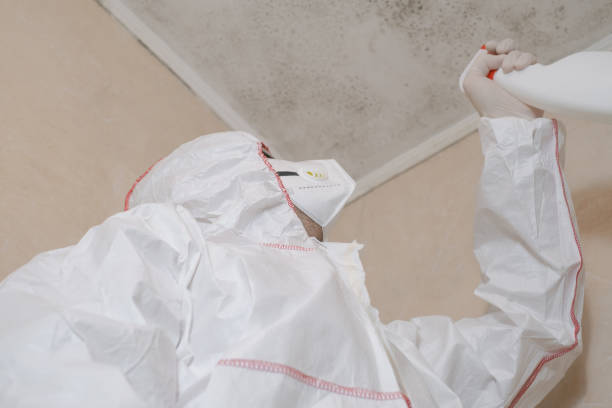 Best Crawl Space Mold Removal  in Carrizo Springs, TX