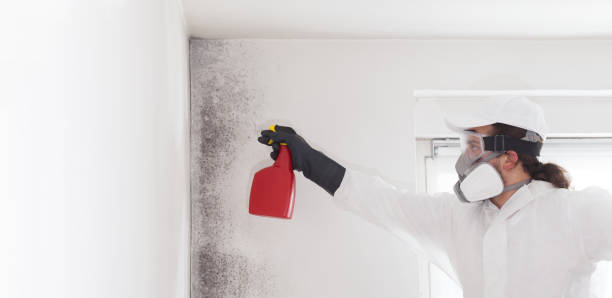 Best Mold Remediation  in Carrizo Springs, TX