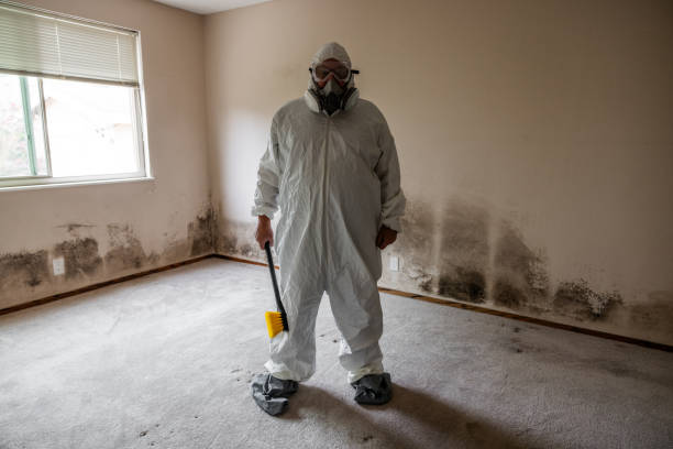 Best Residential Mold Removal  in Carrizo Springs, TX